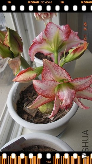 �ߴ����ʹ�