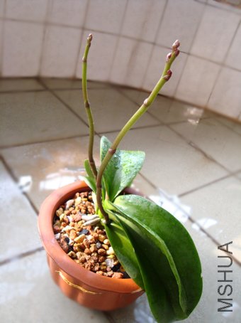 �������Ҳ�֪�������ֵ�����