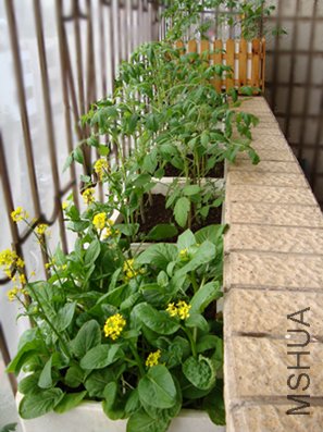 ����˻�Խ��Խ��