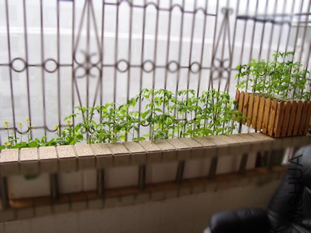 �ӿ��Կ���ȥ������