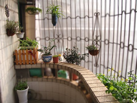 �󲿷ֻ���ǰ��ʱ��������춳����