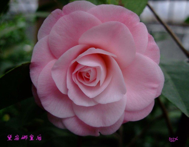 �찲�ǻʺ� 10-2-6.jpg