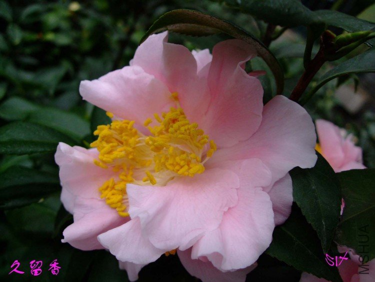 ������ 10-2-4(1).jpg