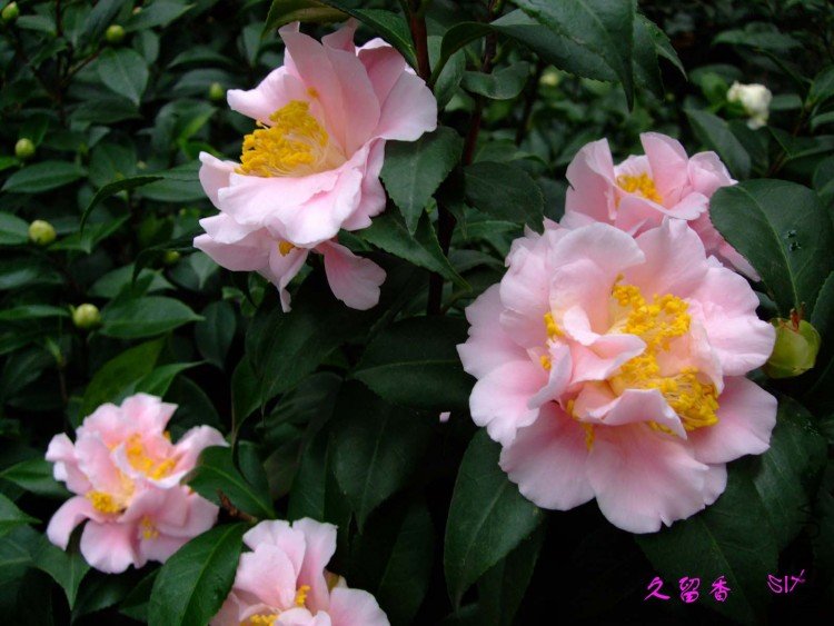 ������ 10-2-4 (2).jpg