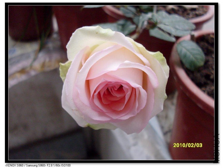 SDC13642_nEO_IMG.jpg