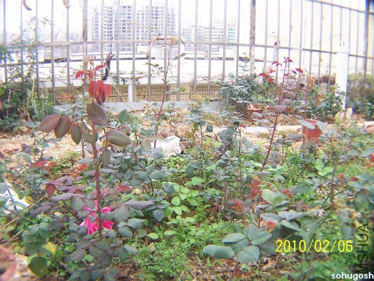 100_8079.jpg