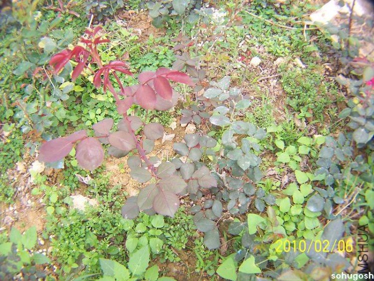 100_8084.jpg