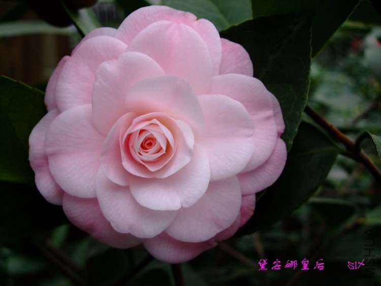 �찲�Ȼʺ� 10-2-7f.jpg