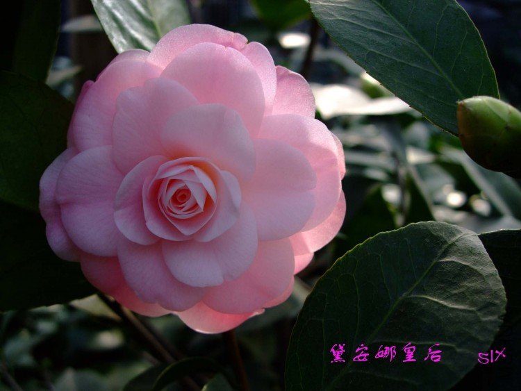 �찲�Ȼʺ� 10-2-7f(1).jpg