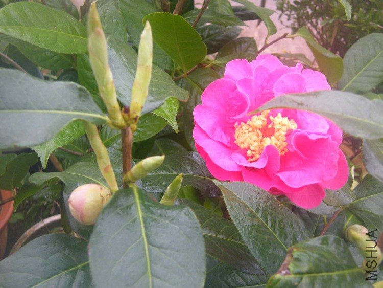 DSCF5034.JPG