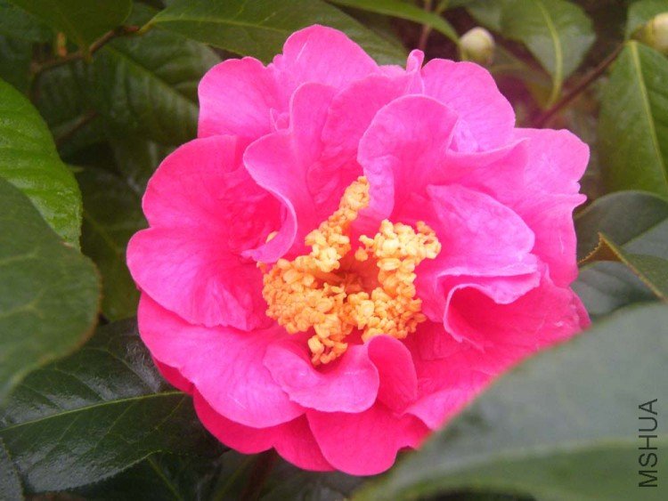 DSCF5033.JPG