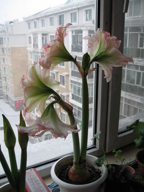 IMG_1158.JPG