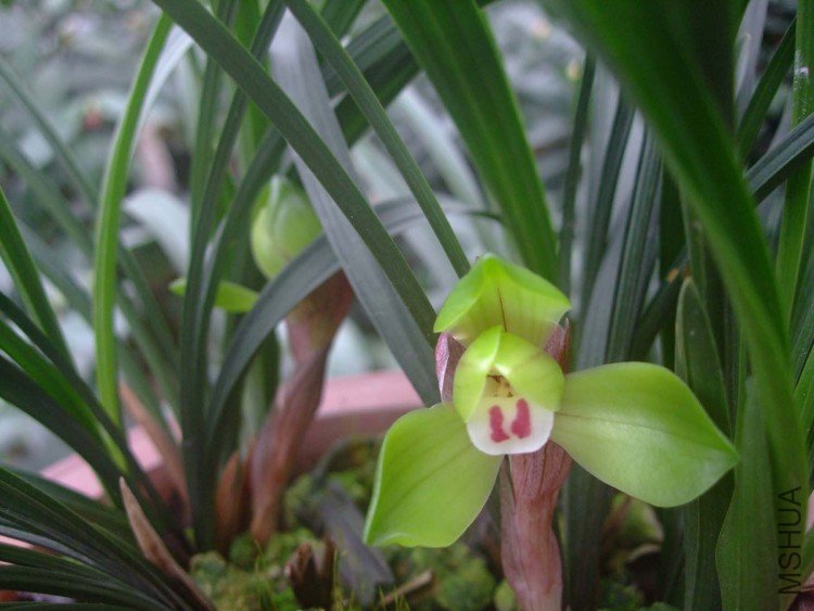 ��Ƭ10-2-8f 00211.jpg