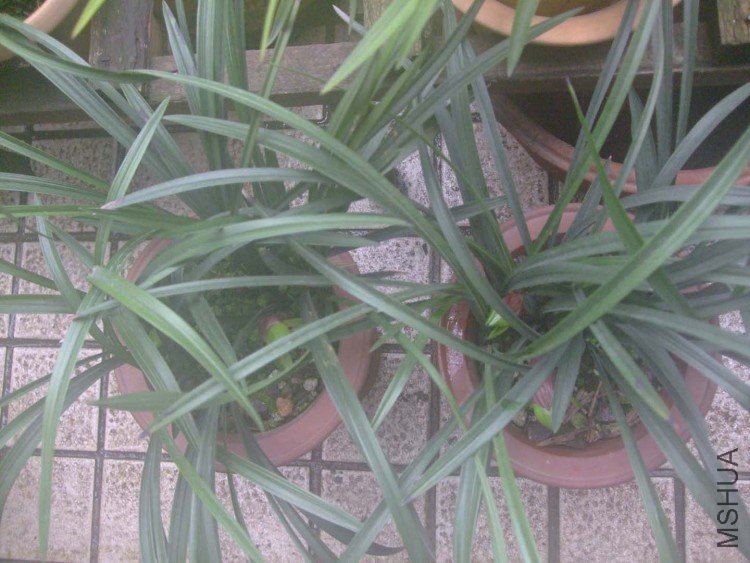 ��Ƭ10-2-8f 00511.jpg