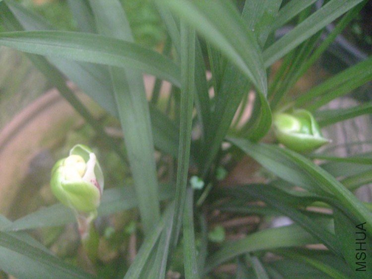 ��Ƭ10-2-8f 00711.jpg