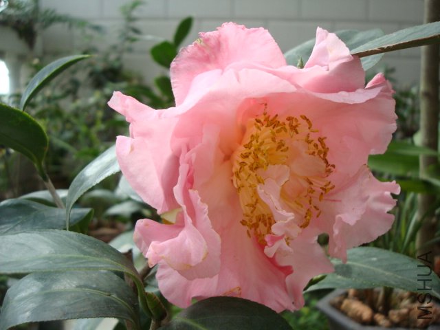 DSC09334.JPG