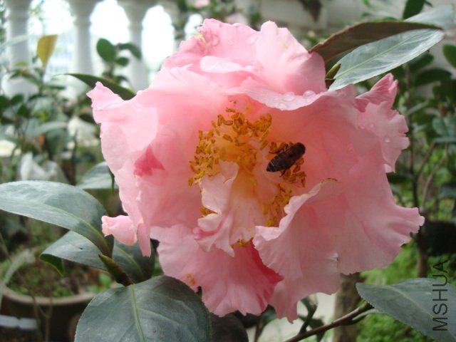 DSC09277.JPG