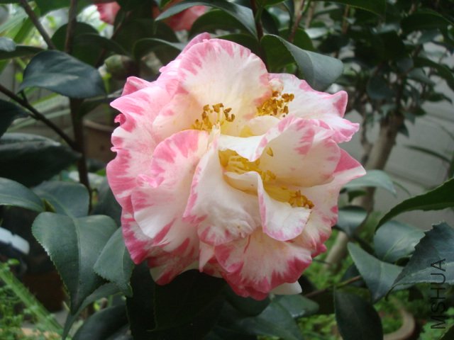 DSC09401.JPG