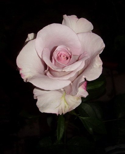 �뿪������