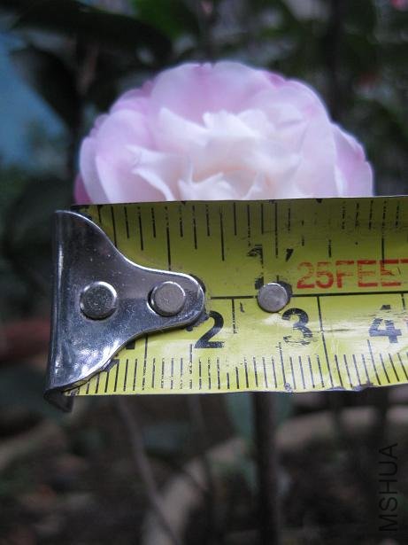 ��˹���� 027.jpg