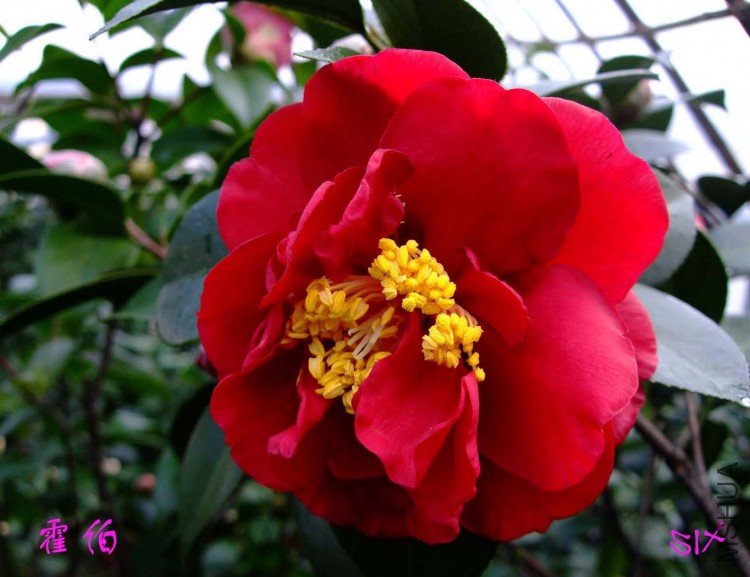 ���� 10-2-9f.jpg