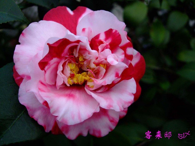 ����ۡ 10-2-9f.jpg