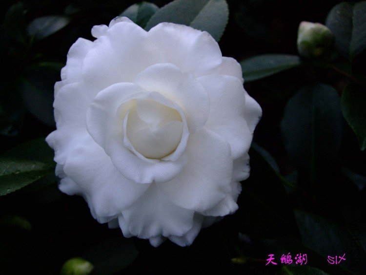 ����10-2-9 (2).jpg