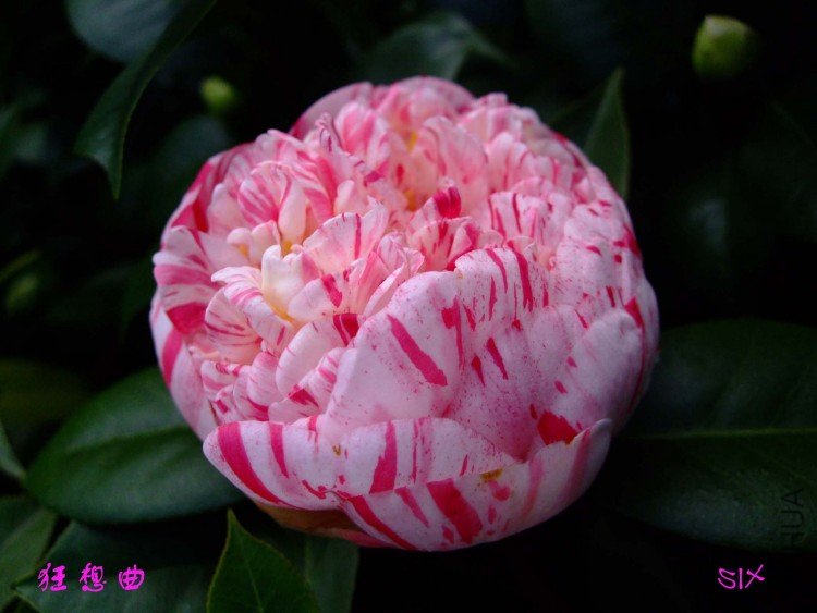 ������ 10-2-9 (2).jpg