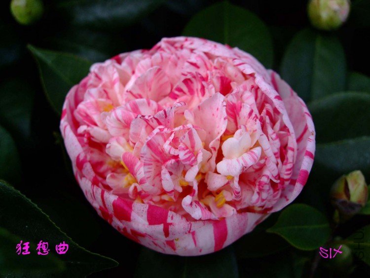 ������ 10-2-9(1).jpg