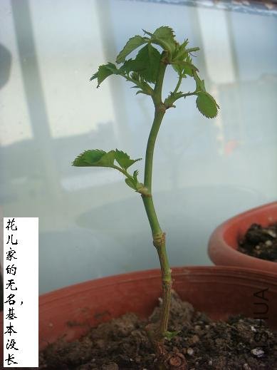 DSC03894.JPG
