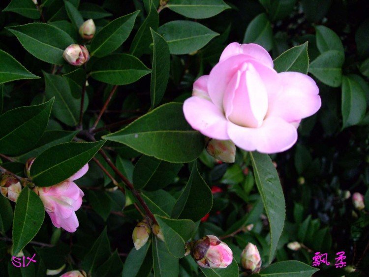 Ʈ�� 10-2-10(2).jpg