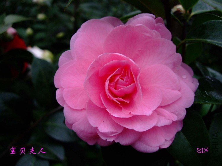 �������� 10-2-10f.jpg