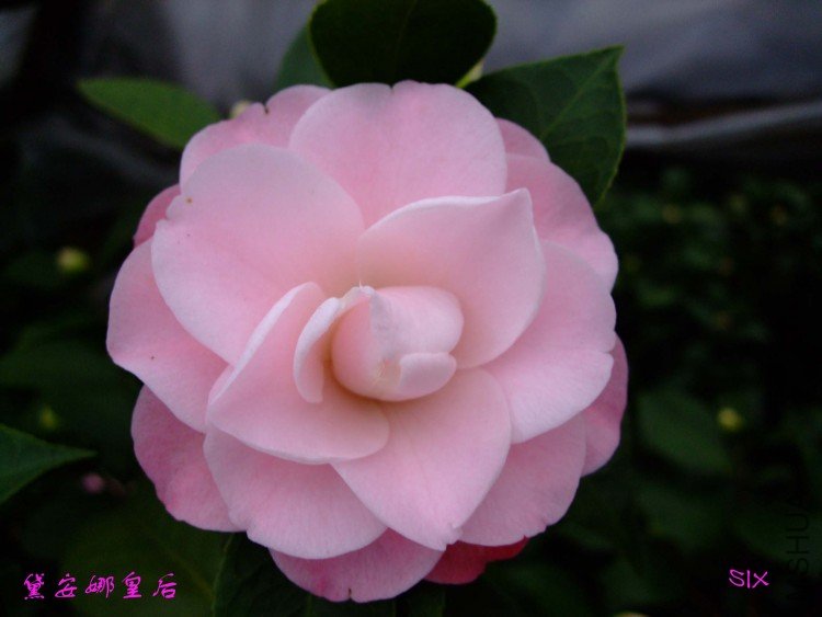 �찲�Ȼʺ� 10-2-10(2).jpg