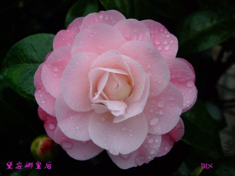 �찲�Ȼʺ� 10-2-10(1).jpg