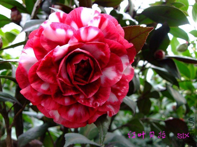 ����  10-2-9 (3).jpg