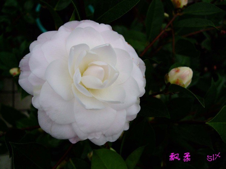 Ʈ�� 10-2-11 (3).jpg