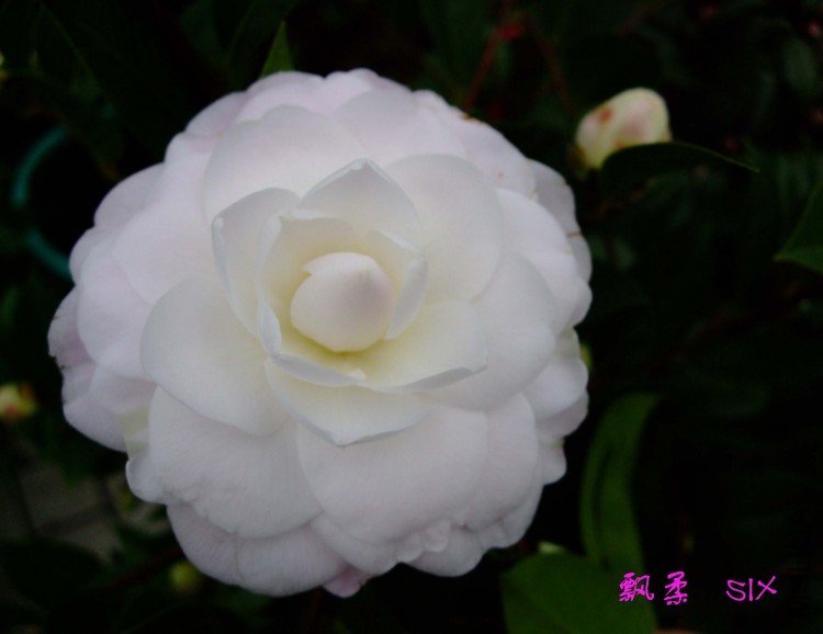 Ʈ�� 10-2-11(1).jpg