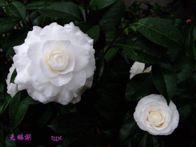 ����  10-2-11(1).jpg