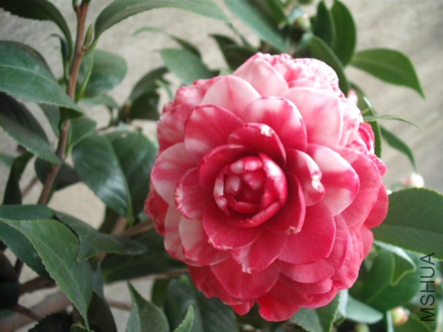 ������������