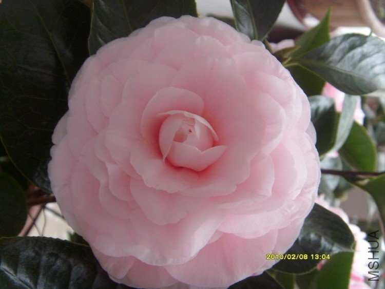 S73R0570.JPG