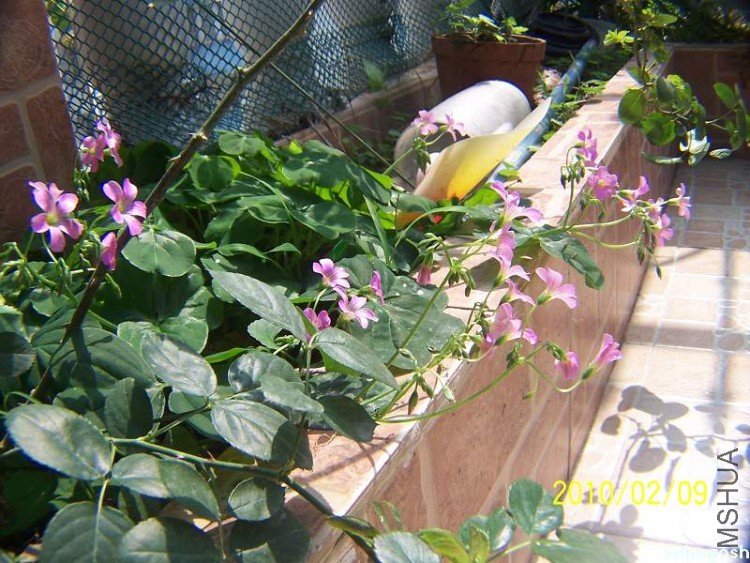 100_8100.jpg