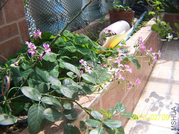 100_8099.jpg