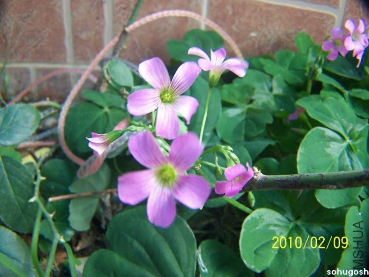 100_8102.jpg