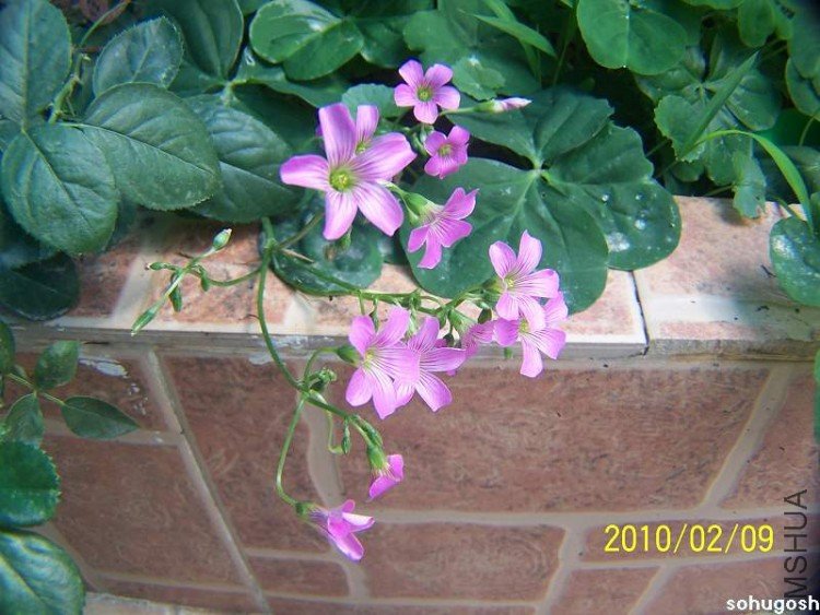 100_8101.jpg