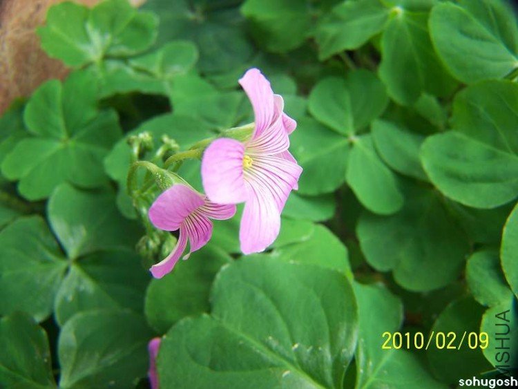 100_8106.jpg