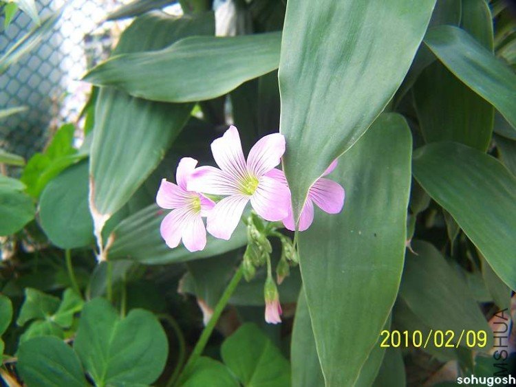 100_8108.jpg