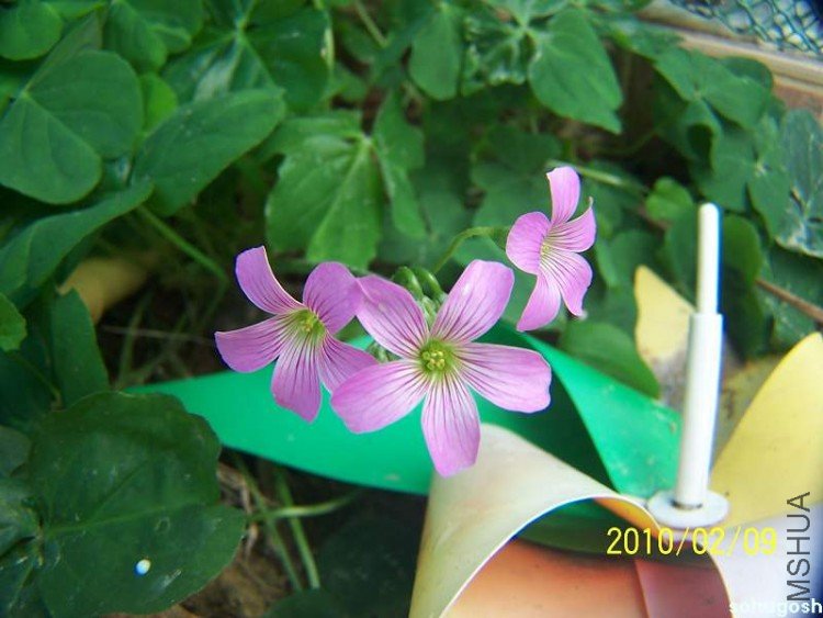 100_8104.jpg