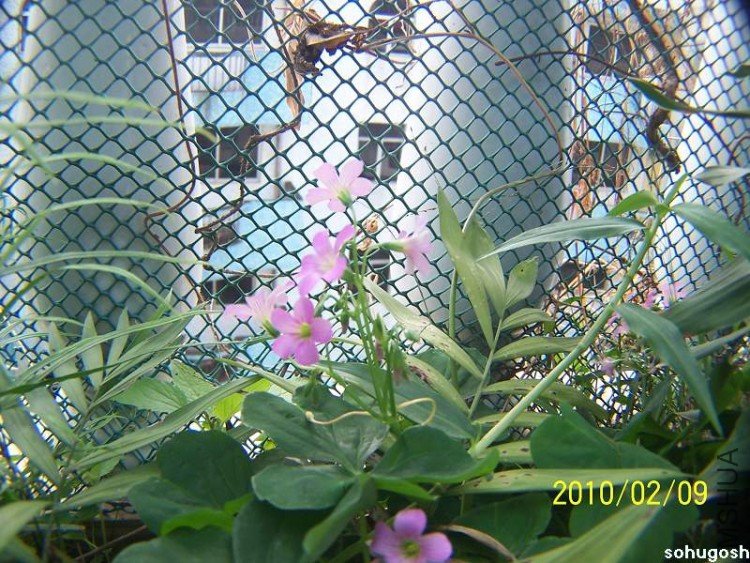 100_8107.jpg