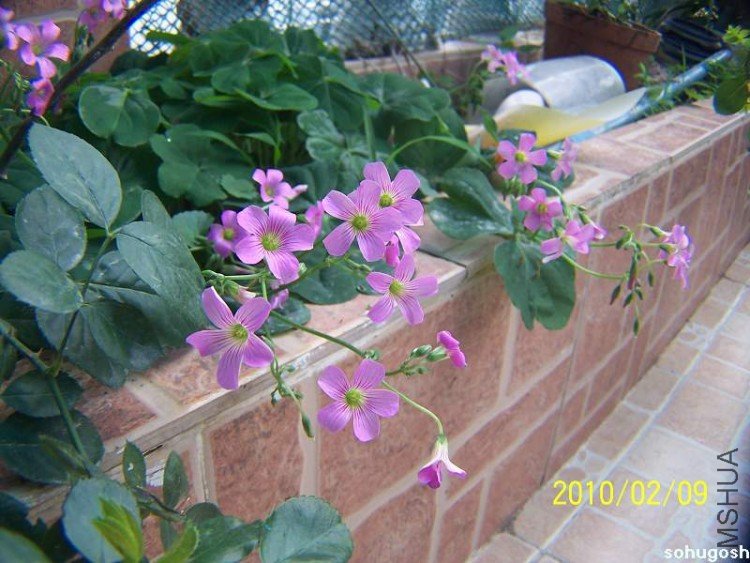100_8105.jpg
