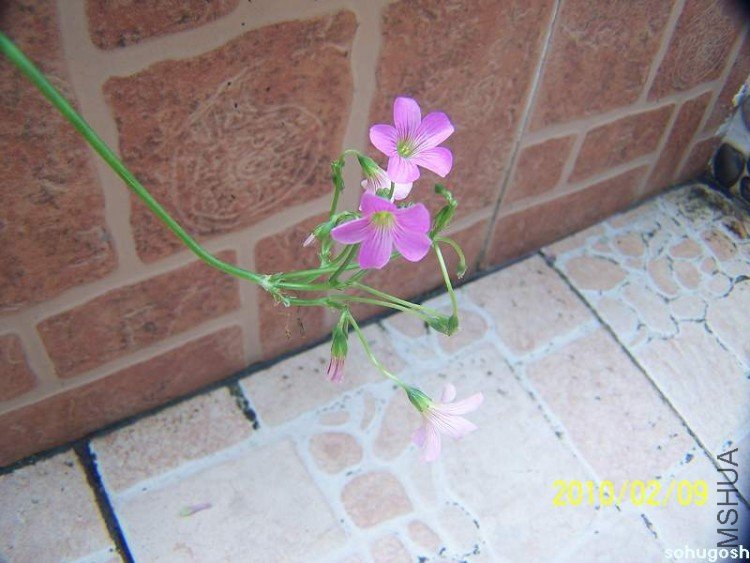 100_8109.jpg